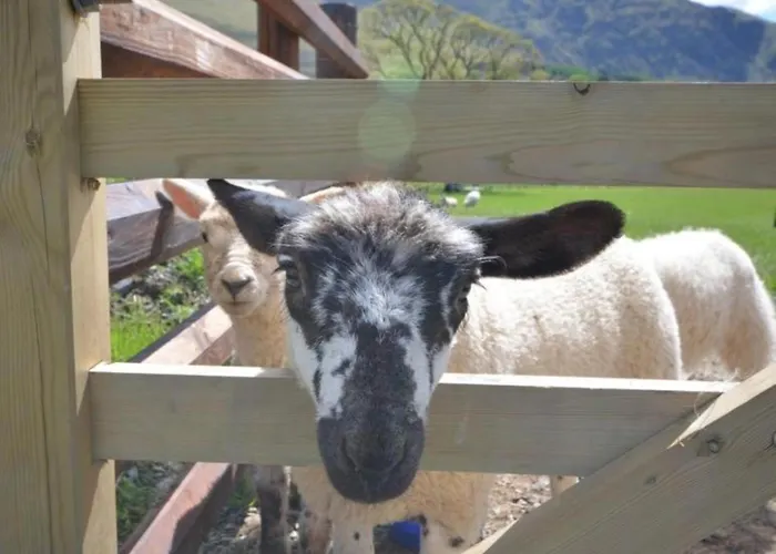 1 Bed In Gamblesby 90417 * Kirkoswald (Cumbria)