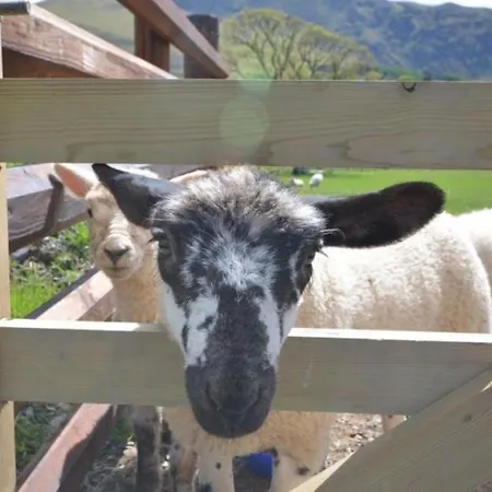 1 Bed In Gamblesby 90417 * Kirkoswald (Cumbria)